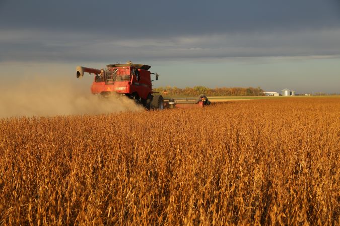 Grain in field.