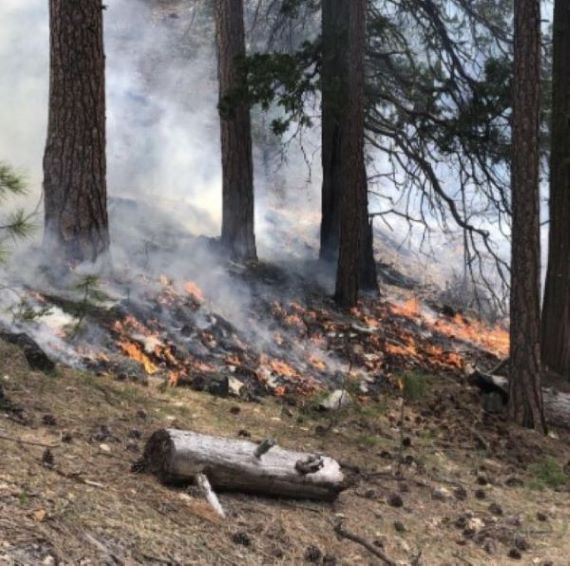 Fires in Northern California