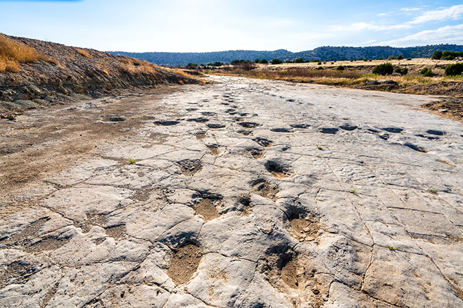 Dinosaur tracks can be found near La Junta.